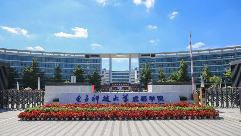 揭秘广东线路板公司排名背后的技术实力与市场趋势