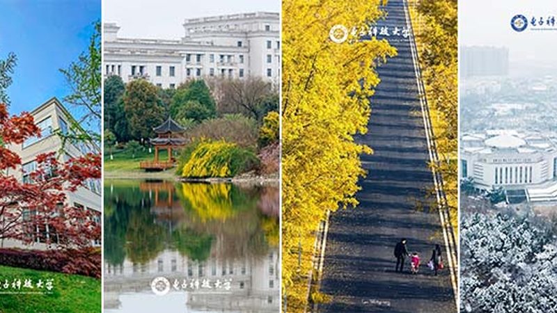 电子元器件交期管理软件：揭秘高效供应链背后的秘密