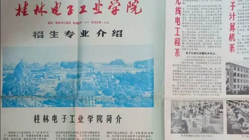 东莞二极管加工定制：揭秘其核心工艺与关键要素**